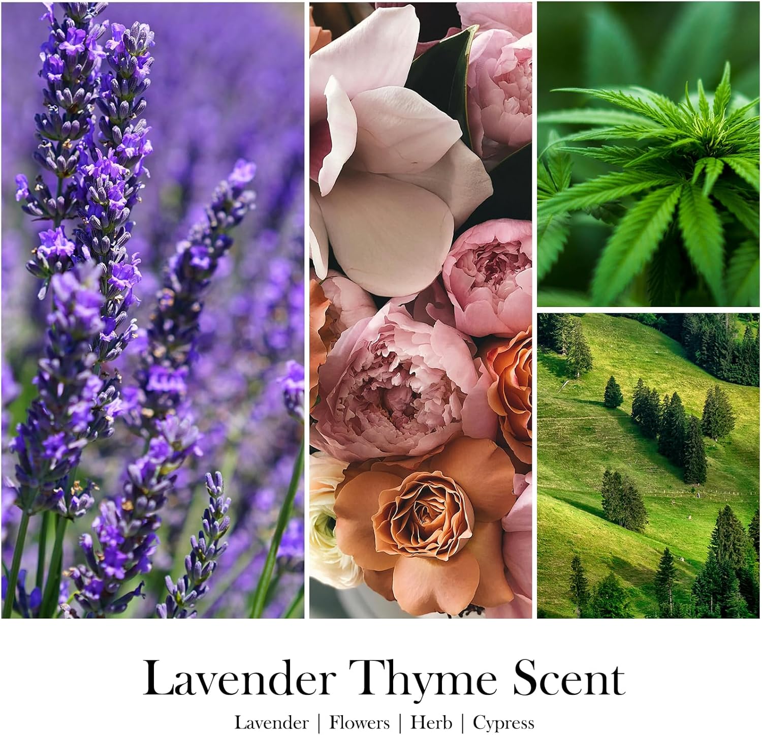 Scented Candles for Home - Lavender & Thyme Scented Candle | Aromatherapy Candles, Soy Candles for Home Scented, 7oz Amber Jar Candles Gift for Women & Men