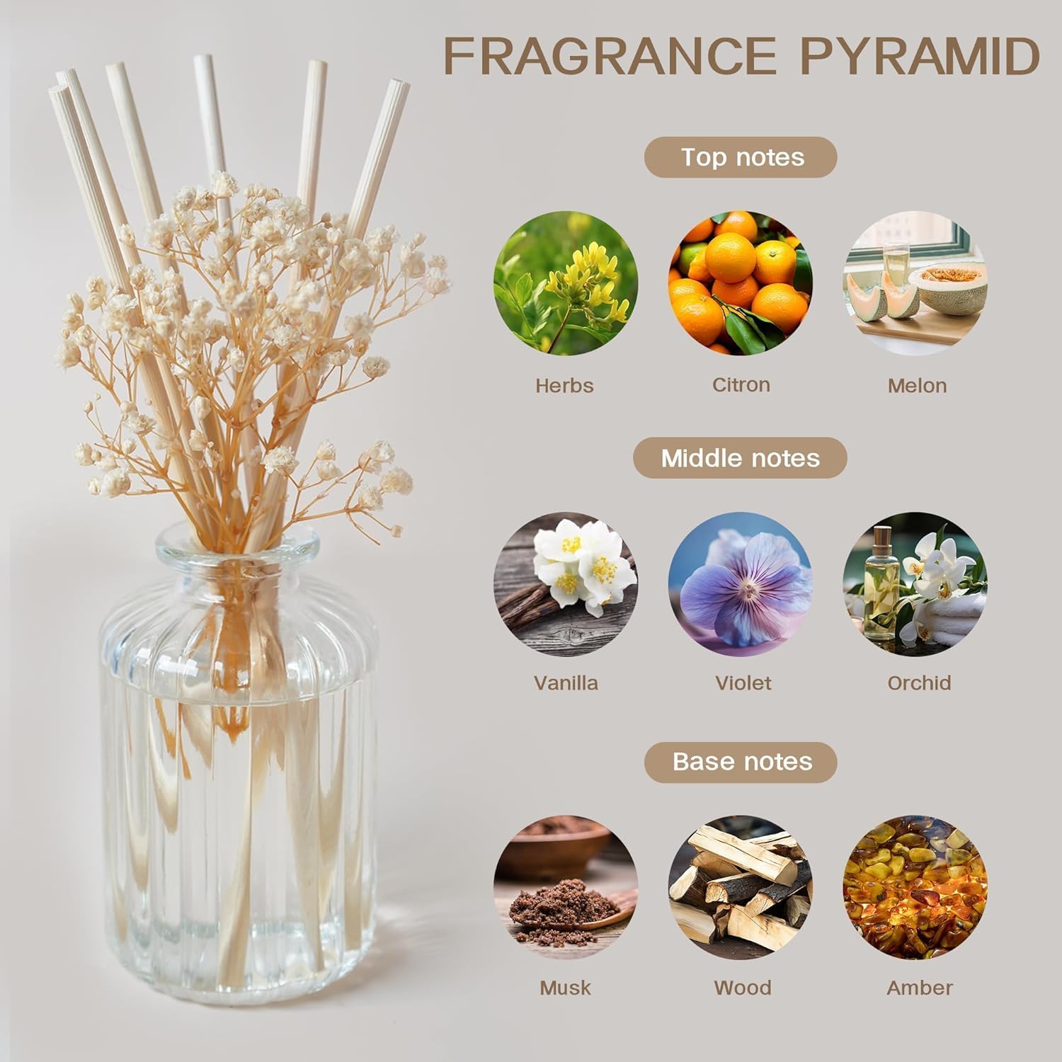 Premium Reed Diffuser Set, 3 Pcak 6.4 oz Cashmere Vanilla Scented Diffuser with Sticks Preserved Real Flower Reed Diffuser Home Fragrance Essential Oil Reed Diffuser for Bathroom Shelf Decor