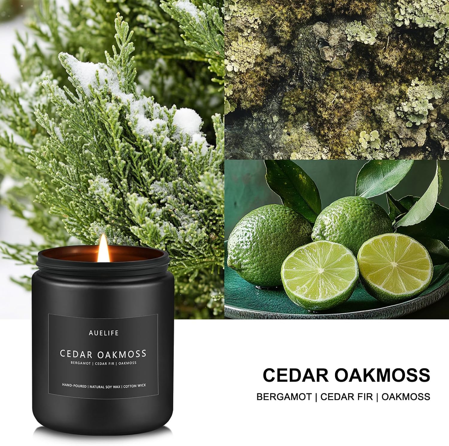 Scented Candles for Men | Cedar Oakmoss Scented Candle - Candles for Men, Men Scented Candles for Home, Candle Gifts for Him/Friend, Aromatherapy Candle in Black Jar